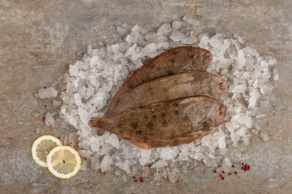SOLE PORTION