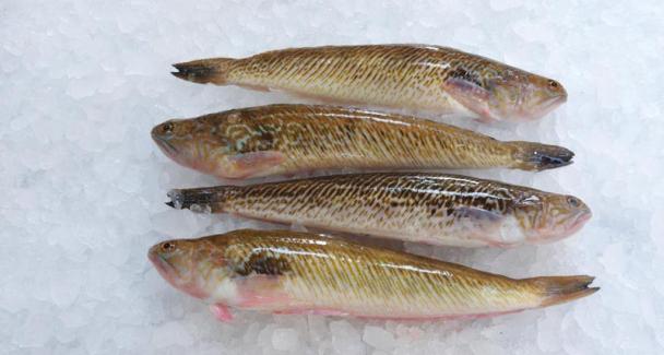 Les poissons