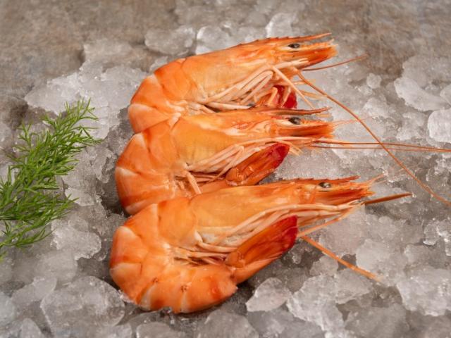 CREVETTES ROSES
