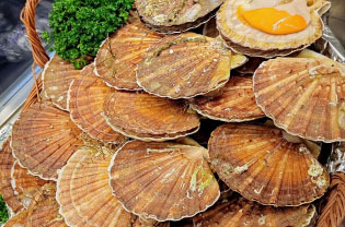 Des produits frais et de qualités
Dans votre poissonnerie à PARIS